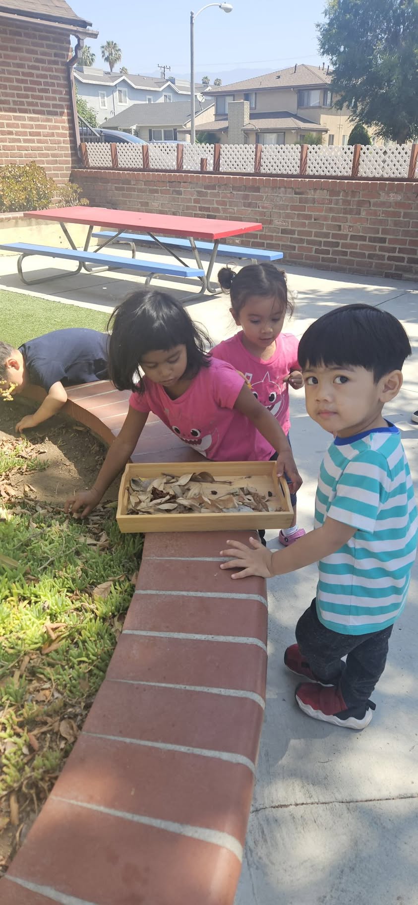 Kindergarten Program